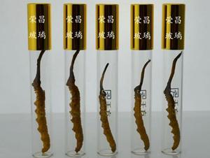 單根裝蟲(chóng)草玻璃瓶(單根裝蟲(chóng)草瓶,單只裝蟲(chóng)草瓶,單支裝蟲(chóng)草瓶)